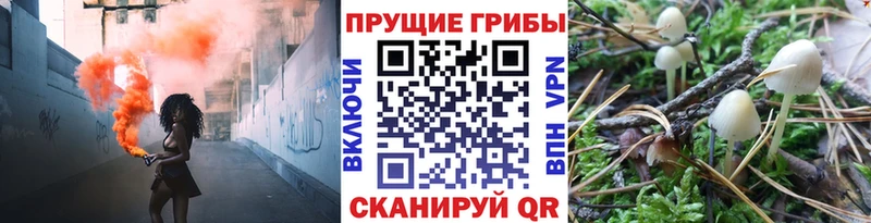 Галлюциногенные грибы GOLDEN TEACHER  Нюрба 